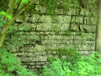 Dark Monsal Dale limestone [DB]